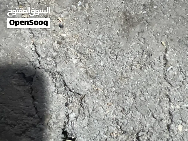 Studio Farms for Sale in Basra Zubayr