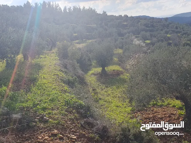 Mixed Use Land for Sale in Ramallah and Al-Bireh Kaubar
