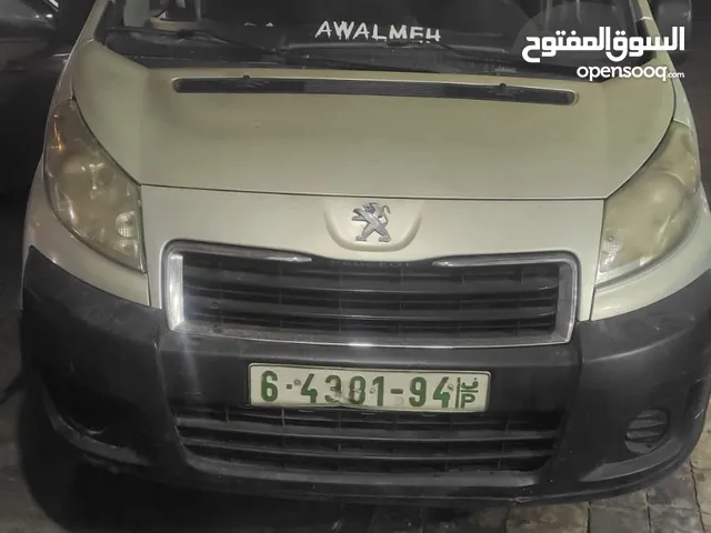 بيجو اكسبيرت 2013