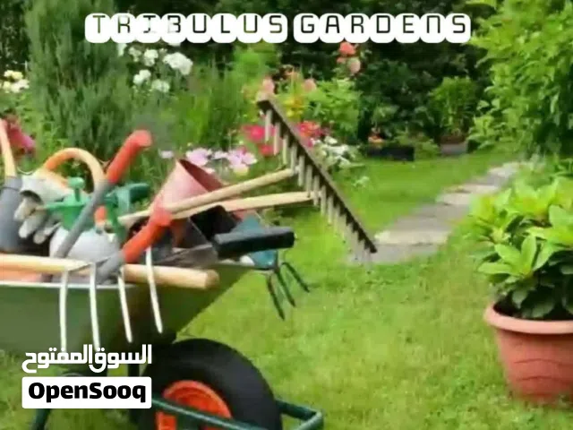 خدمات حصد وتنظيف المعشب والحديقة