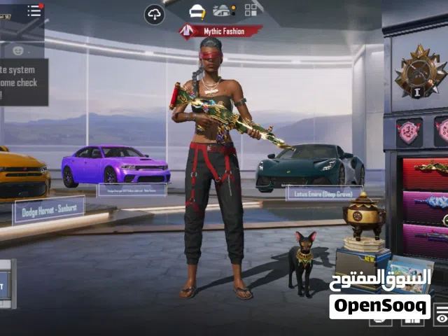 Pubg Accounts and Characters for Sale in Ramtha