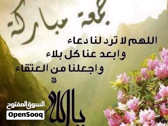 مشاركه سكن  بالسالميه