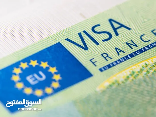 حصول على تاشيرة visa online اقرء المزيد...