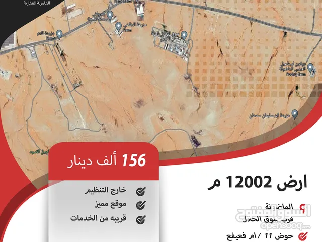 Residential Land for Sale in Amman Madonna