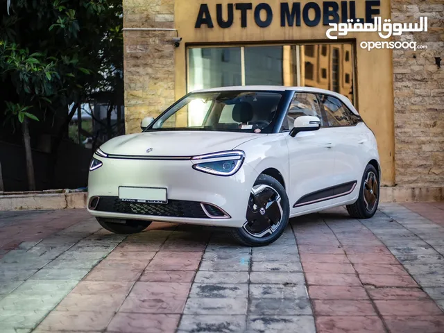 Dongfeng Nammi Box 2025 بدفعه اولى 1000 دينار تسليم مفتاح مع كفاله (5) سنوات او (150) الف كم