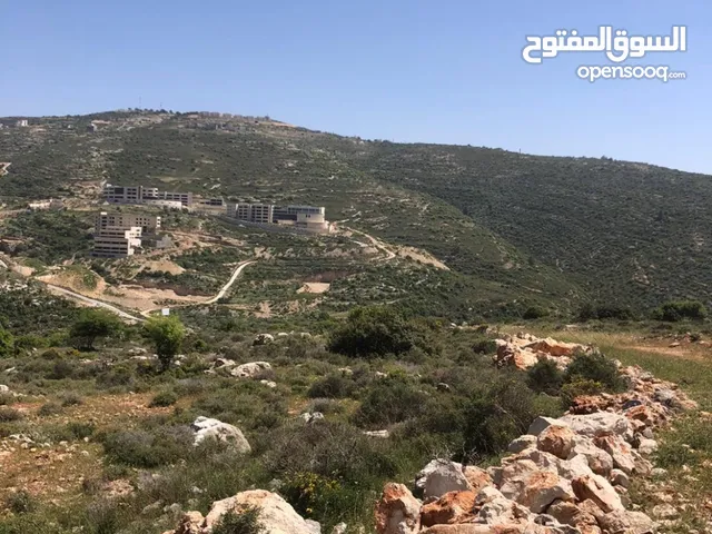 27دونم للبيع في مدينة سلفيت مقابل جامعة الزيتونة