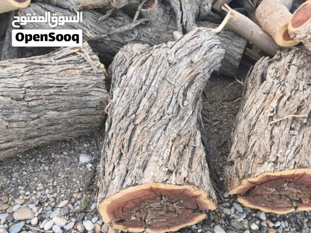 حطب سمر جاهز