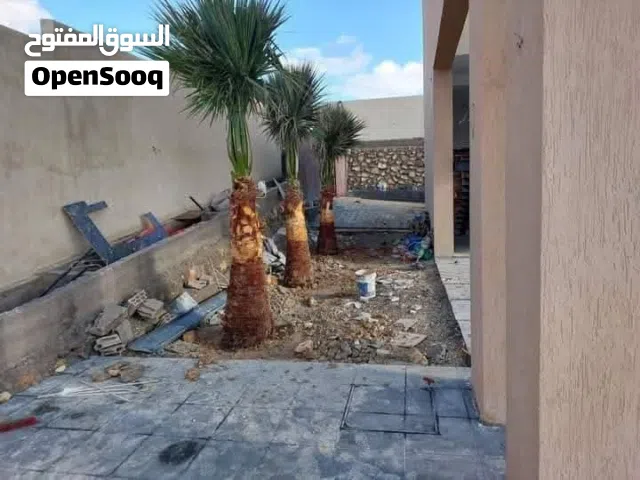 جميع أنواع أشجار النخيل