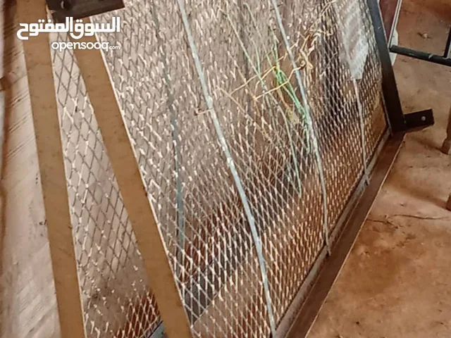 جوز سراير موسكو اصلي تقيل