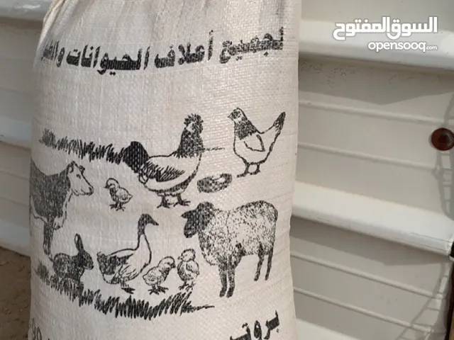للبيع علف ممتاز يصلح لجميع الحلال