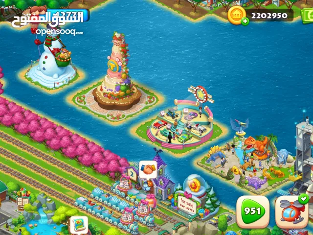township account level 223