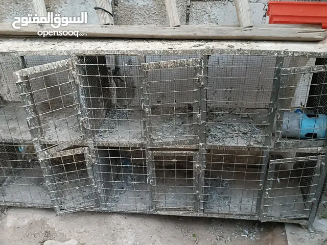 اقنون حمام للبيع مستعجل