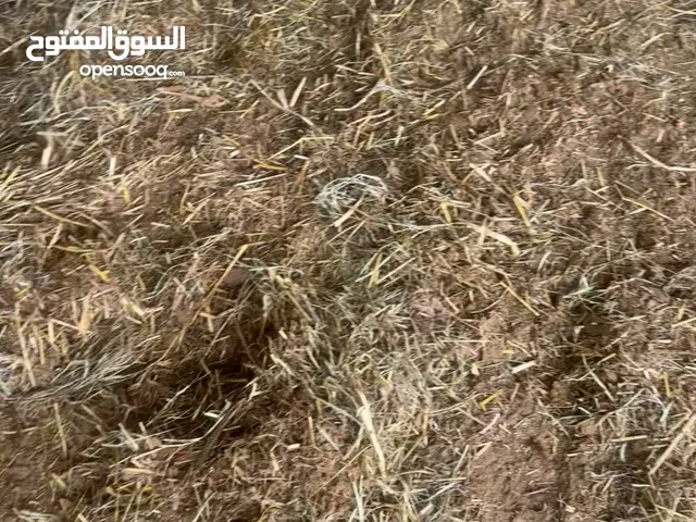 للبيع سماد غنم و بقر