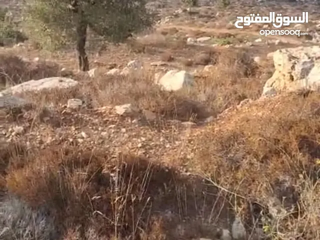 ارض للبيع في منطقه النصاريه كوسان سلطه