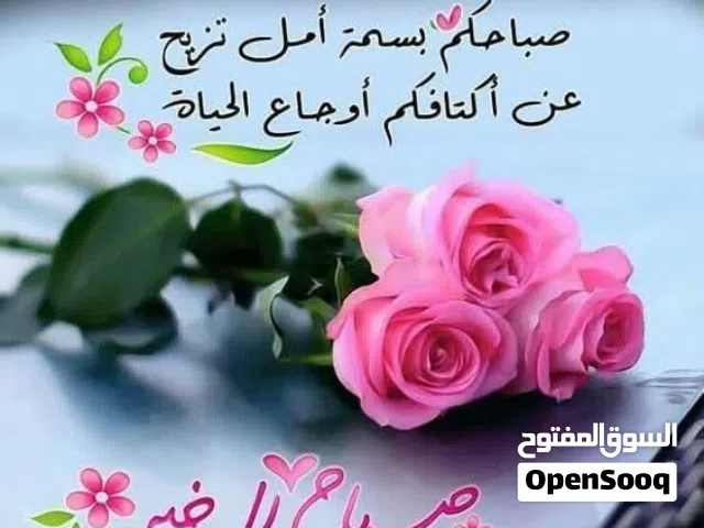 حوش في طريق السور جنان أمامي وخلفي بجوار البريد المركزي بينه وبين رئيسي طريق السور زوز حياش بس