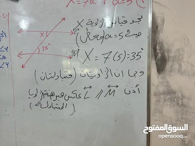 Arabic Teacher in Basra