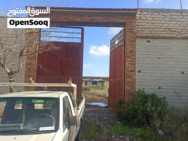 Mixed Use Land for Rent in Alexandria Agami