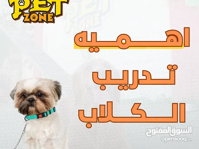 اهميه تدريب الكلاب