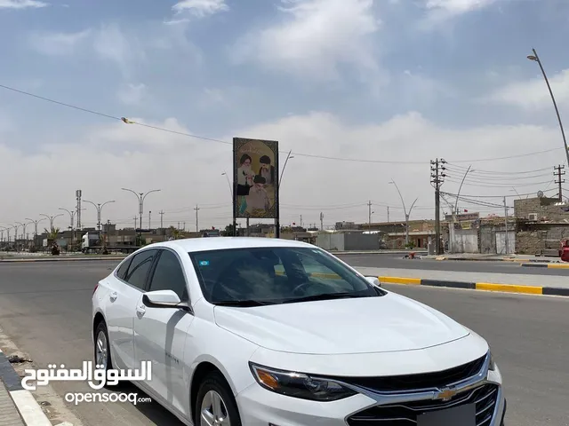ماليبو امريكي 24