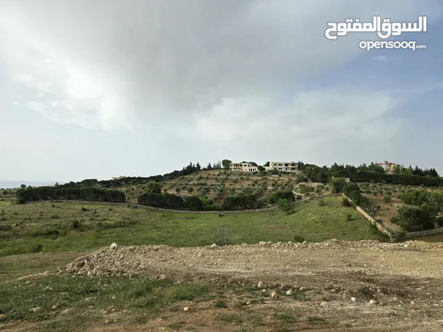 Farm Land for Sale in Jerash Soof