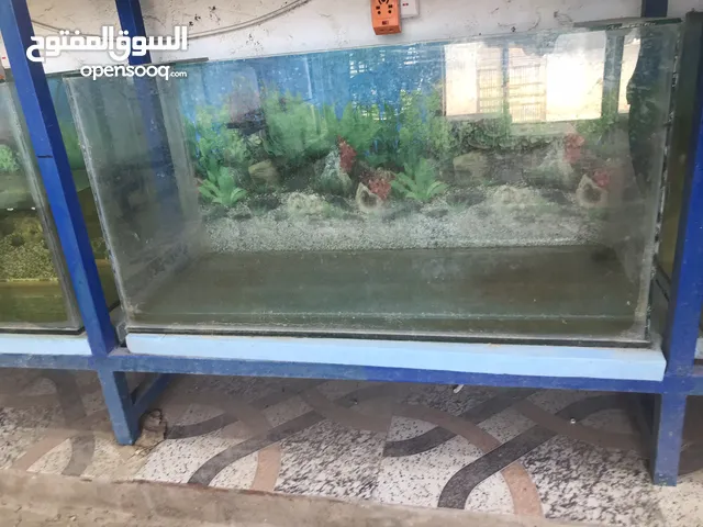 سلام عليكم البيع احواض عدد 15حواض +احواض شلال