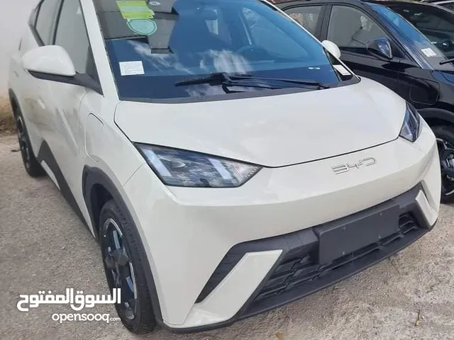 2024 BYD سيجول بي واي زيرو