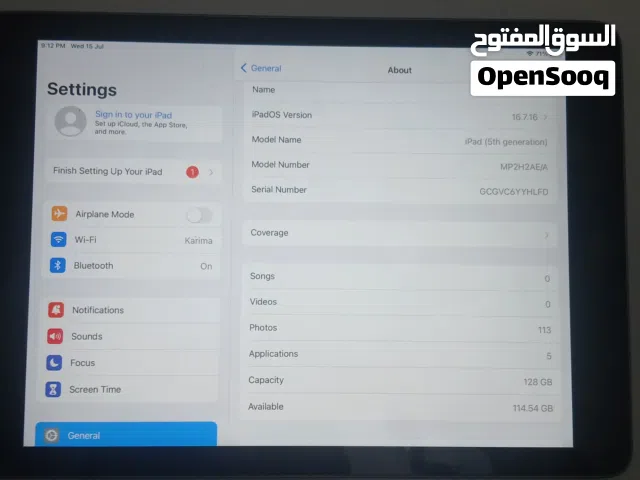 Ipad (5th generation)