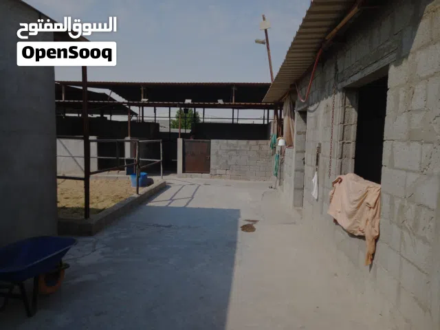 اسطبل خيل للبيع