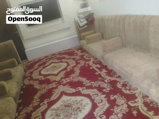 تخم ديوان للبيع