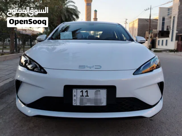 2025 بي واي دي سيل