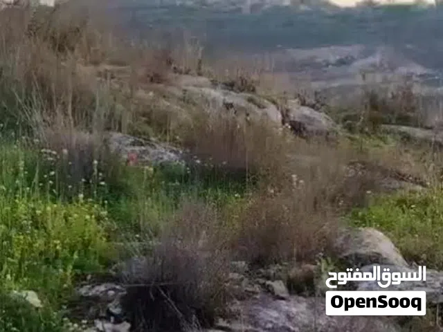 أرض مساحتها 30 دونم تصنيف A بين صيدا وكفر راعي تابعة لأراضي كفر راعي طابو سلطة