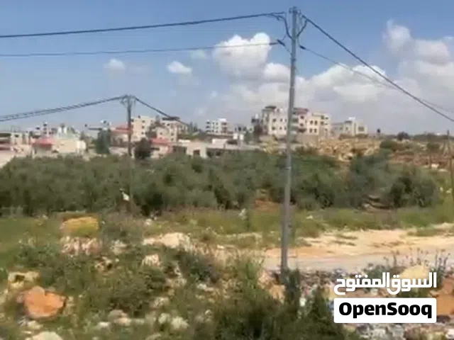 ارض للبيع في منطقه صردا قرب المدرسه الاكاديميه مساحه دونم و700 م في العالي