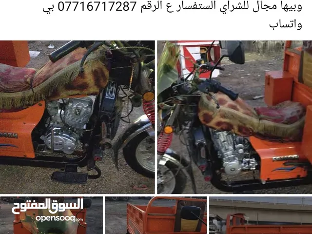 ستوته فرس للبيع