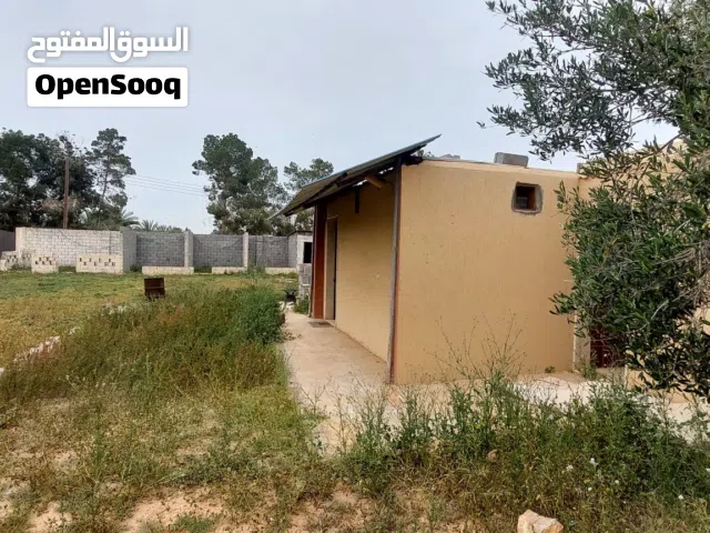 قطعة الارض للبيع منطقة: طمينة طريق صوبات مساحة: 1600