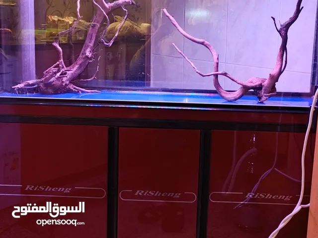 حوض سمك اجنبي حجم كبير متر و20 سامب سفلي 3 مراحل