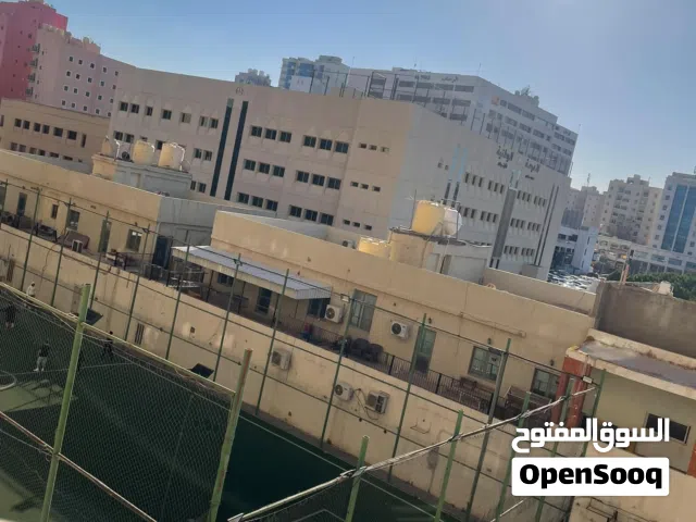 شقه للايجار المؤقت