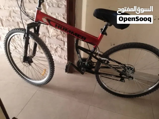 Big bicycle