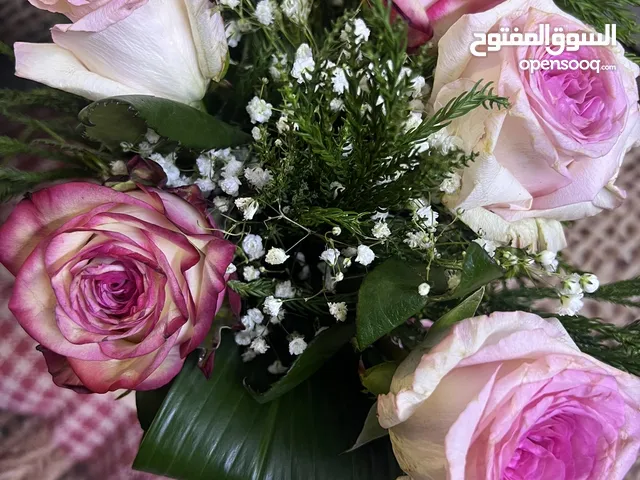 شقة للايجار