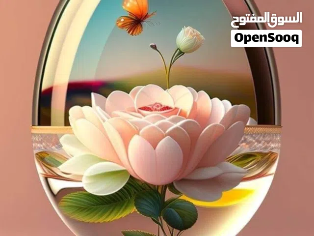 مطلوب طاسات