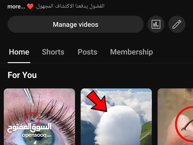 قناة يوتيوب بها اكثر من 323 ألف مشترك