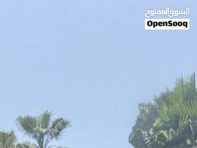 قطعة ارض 1000 متر وادي الربيع البازيد الجامع الاخضر