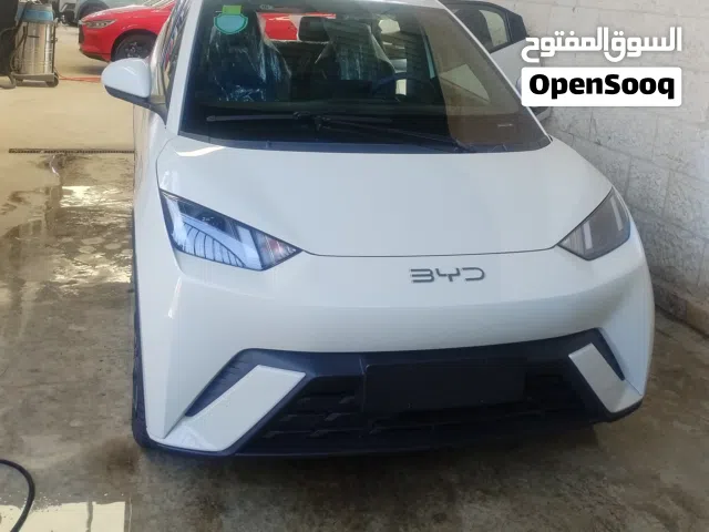 2024 بي واي دي سيجول