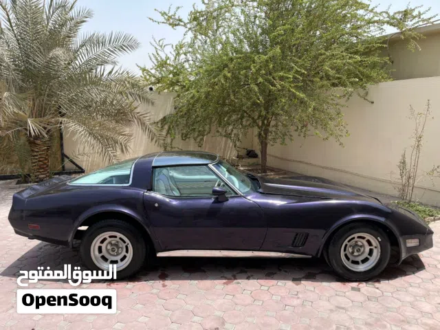 1981, Chevrolet, Corvette, C6