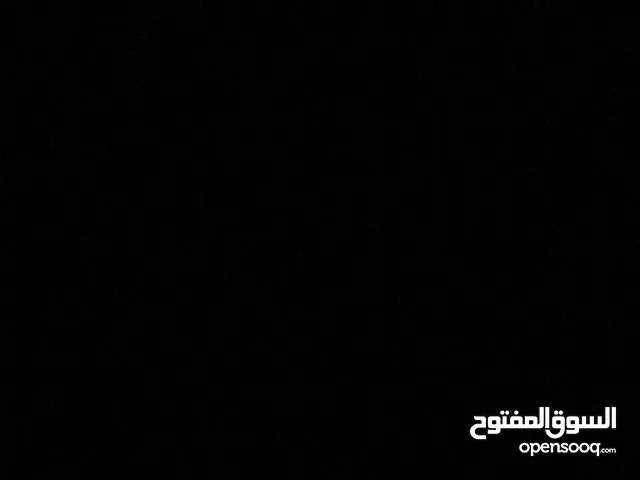 بدل اعطيك بلتيشن تعطيني كلب جيرمن
