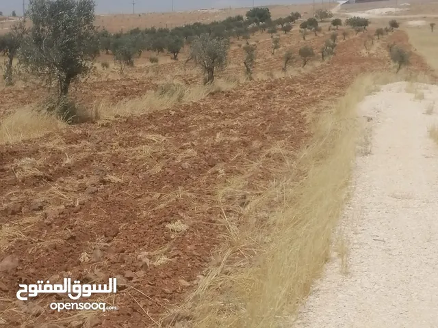 ارض للبيع مساحه 3400م قوشان مستقل مفروووز
