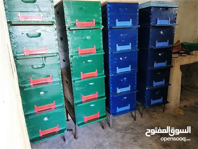 نحل + صناديق فارغه +عاسلات + مناصب حديد مشكل + براويز اساس جديد براويز منفوخه