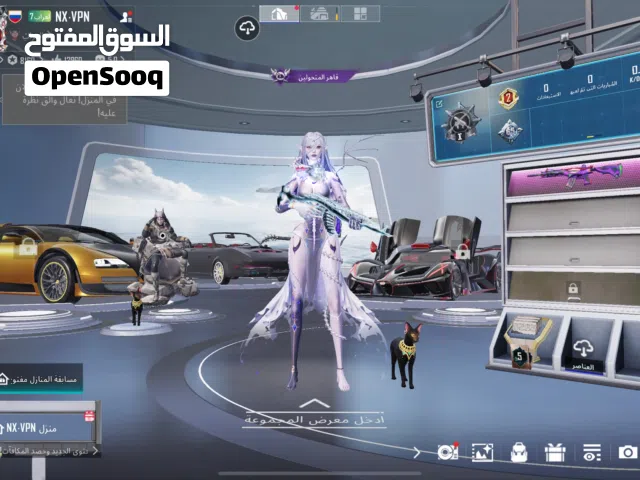 Pubg Accounts and Characters for Sale in Basra