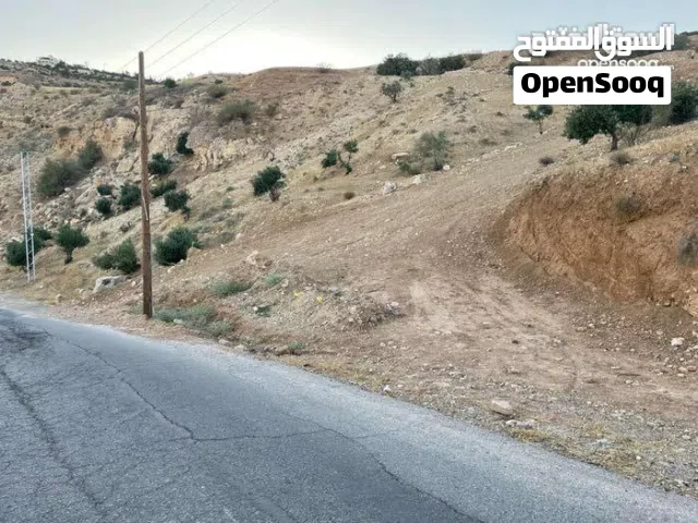 Residential Land for Sale in Amman Naour