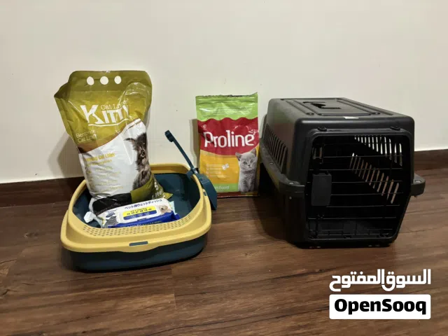 عندي اغراض لقط بدي ابيعهم جداد وما استخدمتهم غير أسبوعين فقط!!!