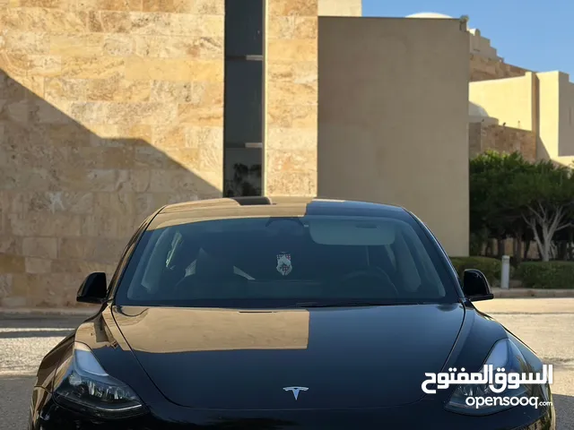 تسلا مودل 3 لونج رينج دول ماتور 2023